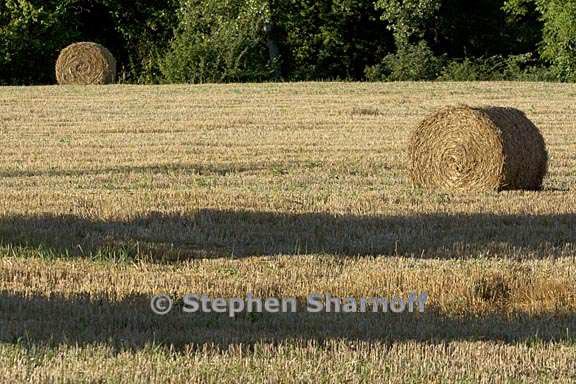 haybales 3 graphic
